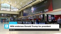 NRA endorses Donald Trump for president