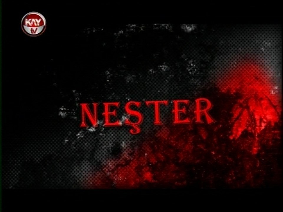 20 MAYIS 2016 NESTER