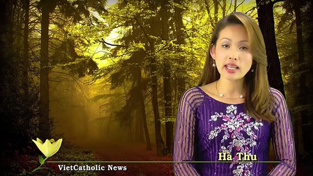 Suy niệm với ĐTC Phanxicô - 18_24.06.2015 - Anh em là Đền Thờ Thiên Chúa