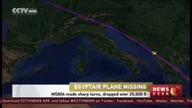 Missing EgyptAir plane made sharp turns, dropped over 25,000 feet
