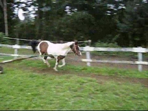 Malika, au dessus des étoiles !