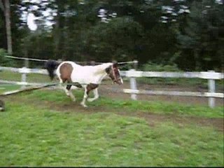 Malika, au dessus des étoiles !