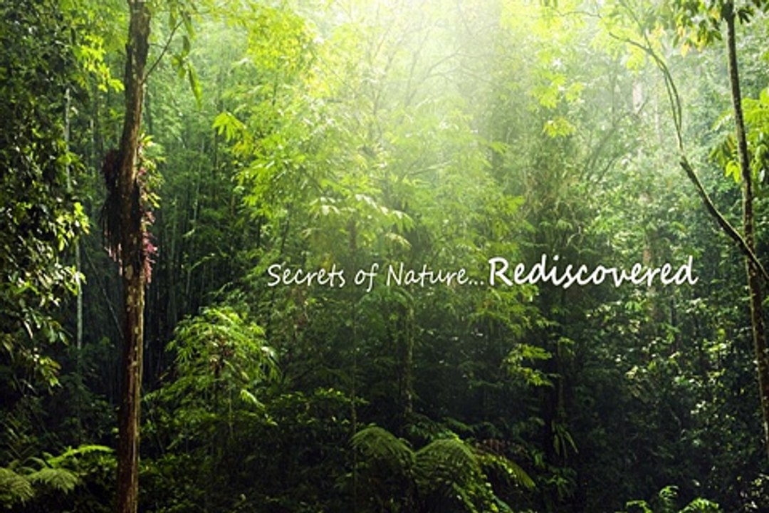 Naturalelixirs.biz offers herbal private labeling on its products