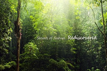 Naturalelixirs.biz offers herbal private labeling on its products