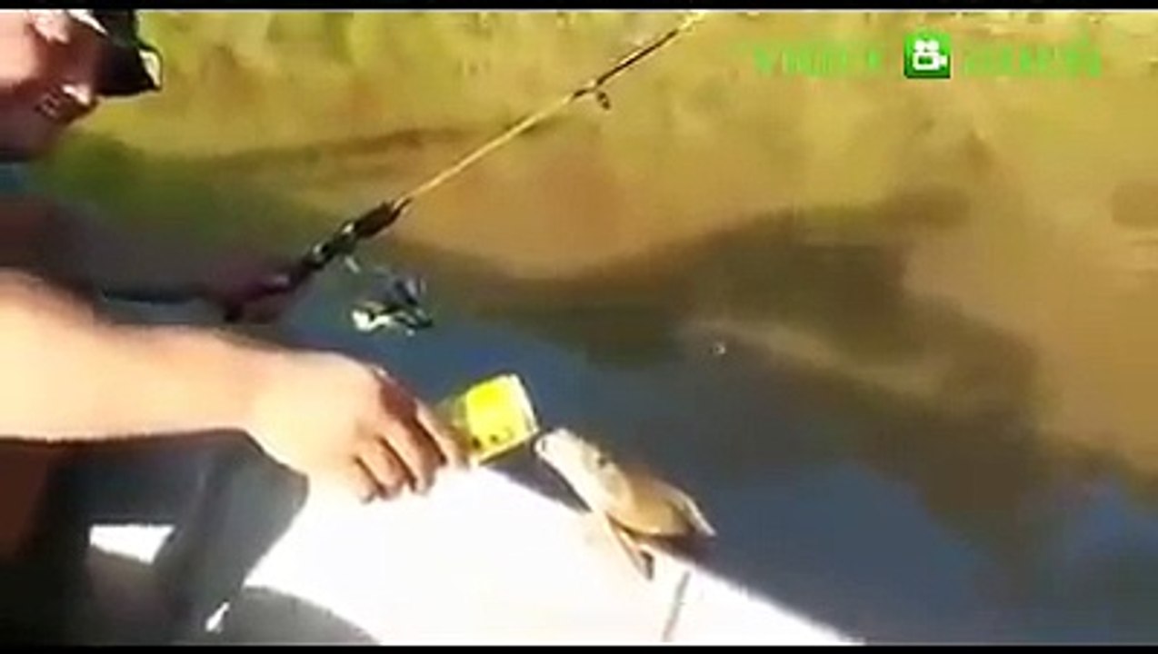 Ikan Nya Kehausan