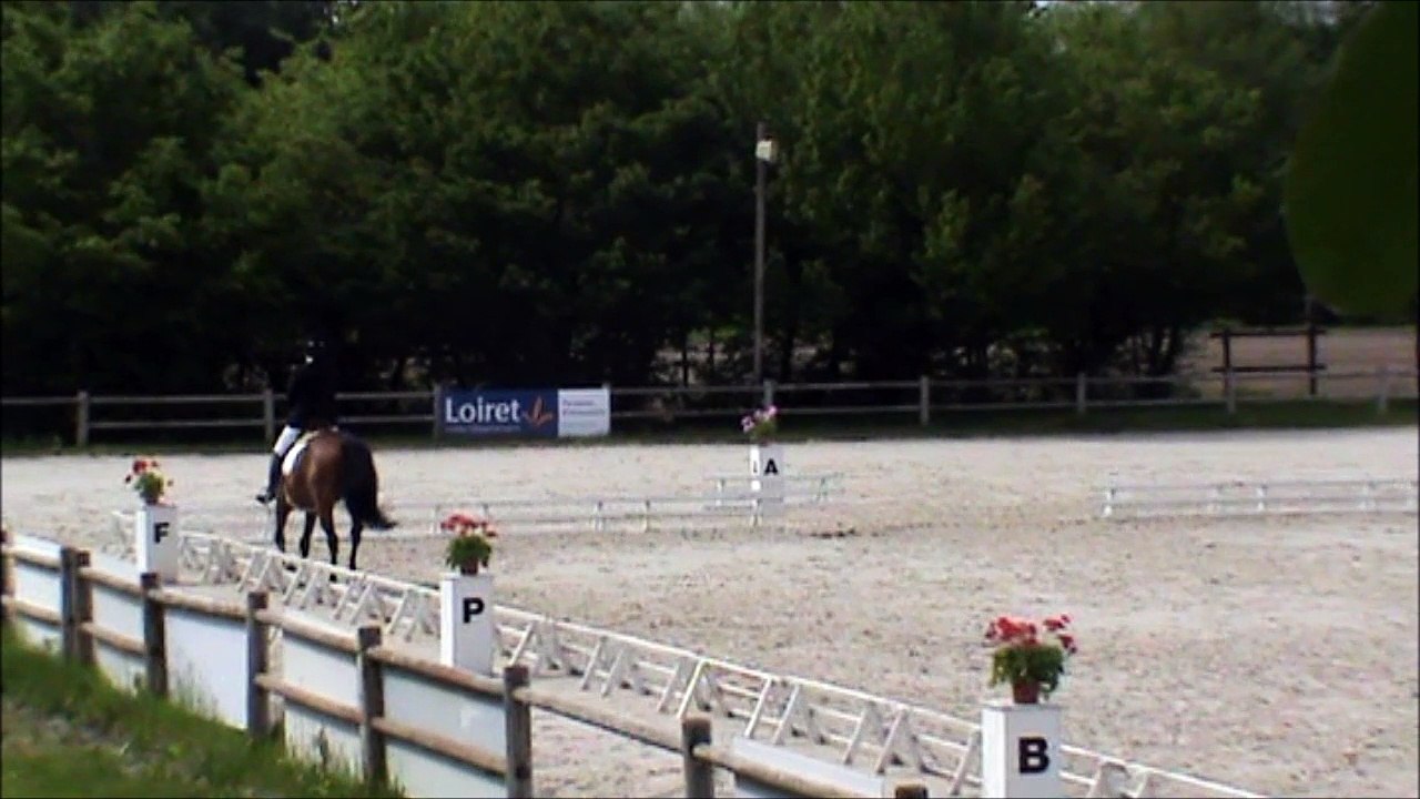 20160515 Sucre Dressage Sandillon