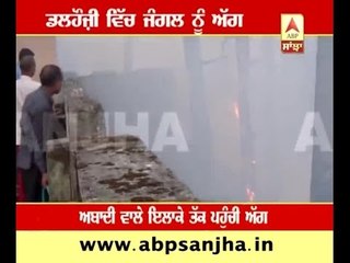 Forest fire in Dalhousie burnt houses