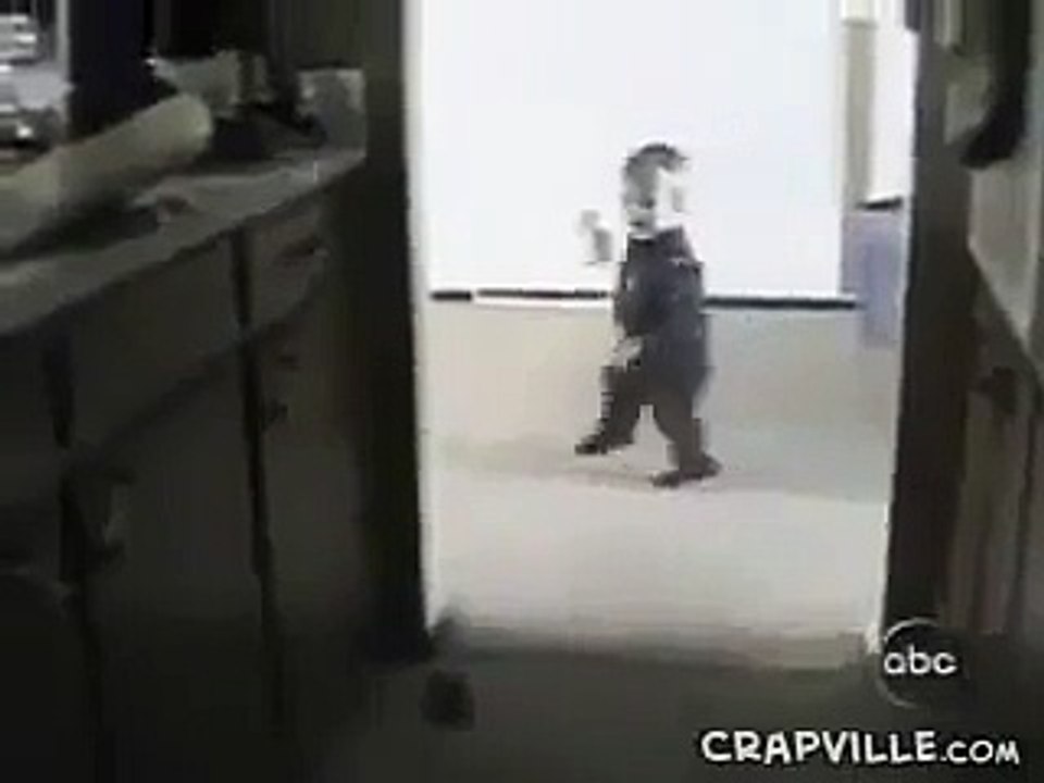 753561_482796875132675_1328526671_n