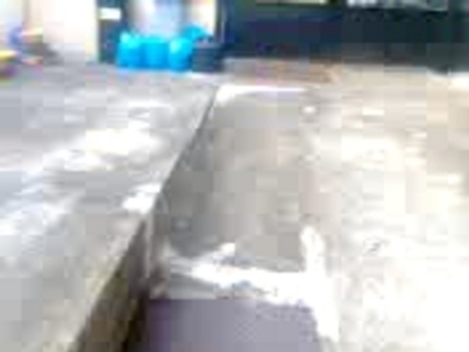 fumigene maison by aleks 6 ball de ping pong en copo+allu=sa