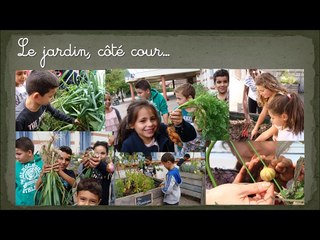 Biodiversité à l'école élémentaire Léo Ferré de Montauban (82)