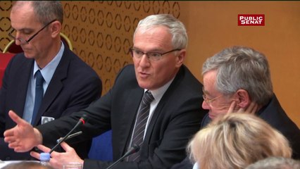 Jean-Bernard Levy estime que la fermeture de Fessenheim est un préjudice indiscutable