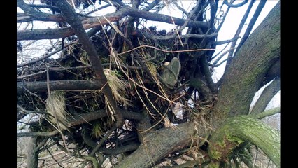 Hetlinger Schanze - Nach dem Orkan Christian Herbst 2013 /Full Film/Complete Movie/Ganzer Film