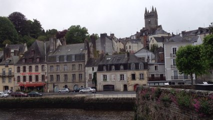 Sauvetage réussi pour un chat dans la Laïta