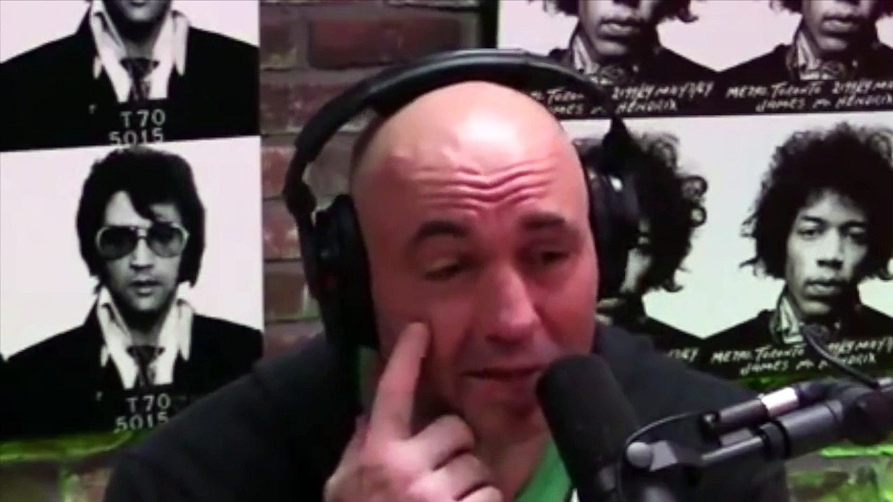 Joe Rogan - Bas Rutten On Low Kicks In MMA - Kicking In The Balls - UFC