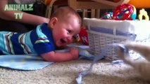 Cute Cats and Babies Cuddling - Babies Love Cats Compilation