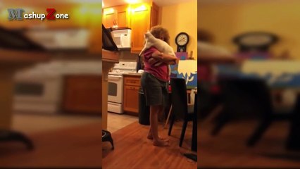 Funny Cats Jumping Into Owners Arms Compilation || NEW HD