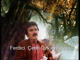 Ferdi Tayfur - Bilemezsin sen