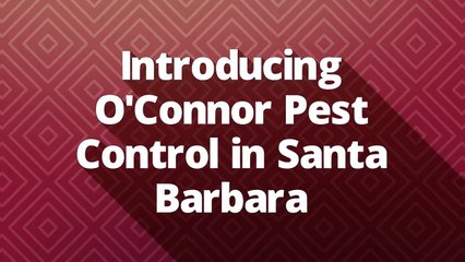 O'Connor Pest Control Company in Santa Barbara