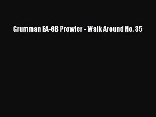 PDF Grumman EA-6B Prowler - Walk Around No. 35  EBook
