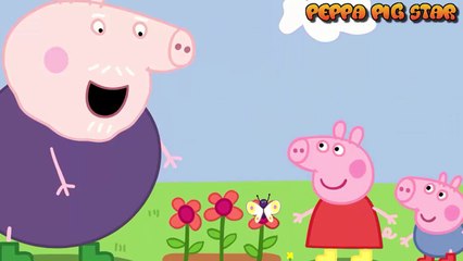 Peppa Pig em português - Peppa Pig - Peppa And The Butterfly