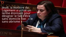 Emmanuelle Cosse parle de «sans-abrisme» et devient la risée du web