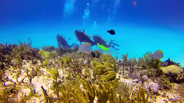 iBubble, la caméra qui vous suit toute seule sous l'eau !