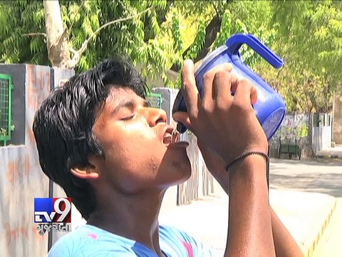 Several birds die due to scorching heat in Gujarat - Tv9 Gujarati