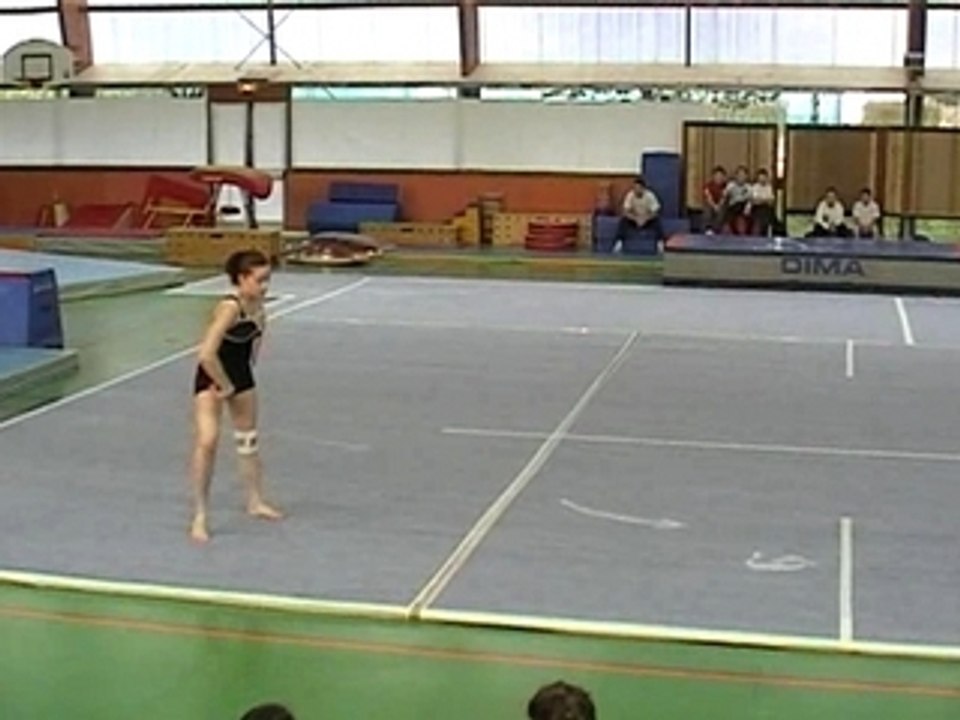 Gaf indiv 1ème partie villepreux