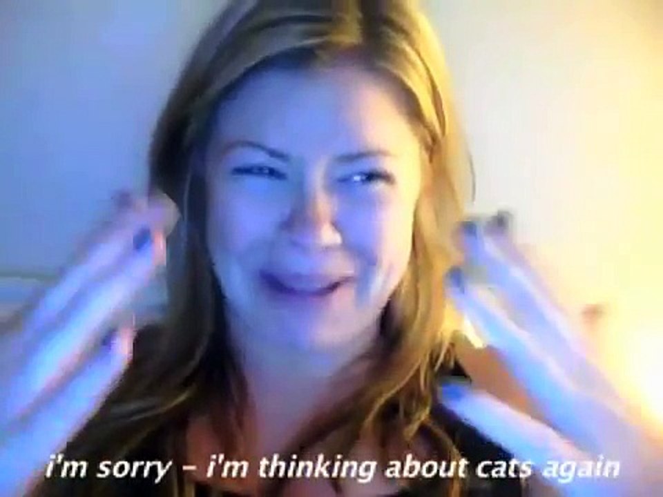 Songify This - CAN'T HUG EVERY CAT - a song about loving cats