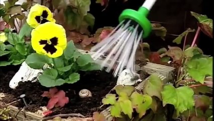 Voici un moyen de vous débarrasser des araignées sans les tuer