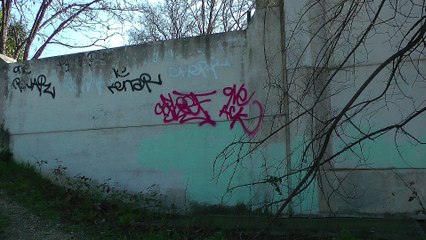 les lignes de nos mains