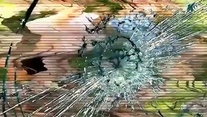 Jackass in Russia Funny Videos Part 13 YouTube