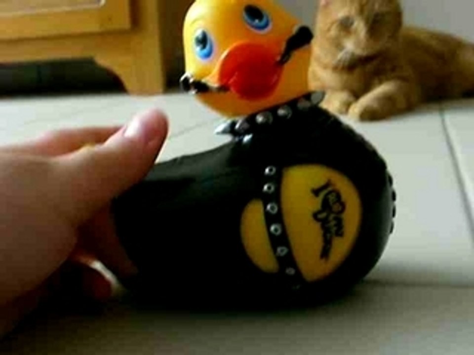 Garfield VS The Evil Flying Ducks