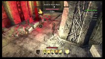 The Elder Scrolls Online: Tamriel Unlimited Stamina Templar