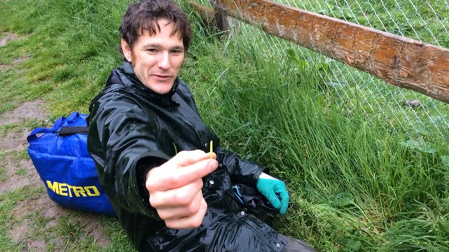 A la découverte des plantes sauvages, avec Julien Benard-Capelle