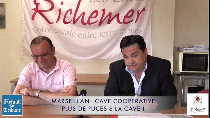MARSEILLAN PLAGE - 2016 - PLUS DE PUCES A LA CAVE !
