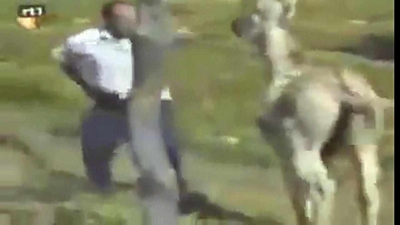 insanın eşekle imtihanı 18 +