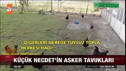 Necdet Komutan ATV Haber'de