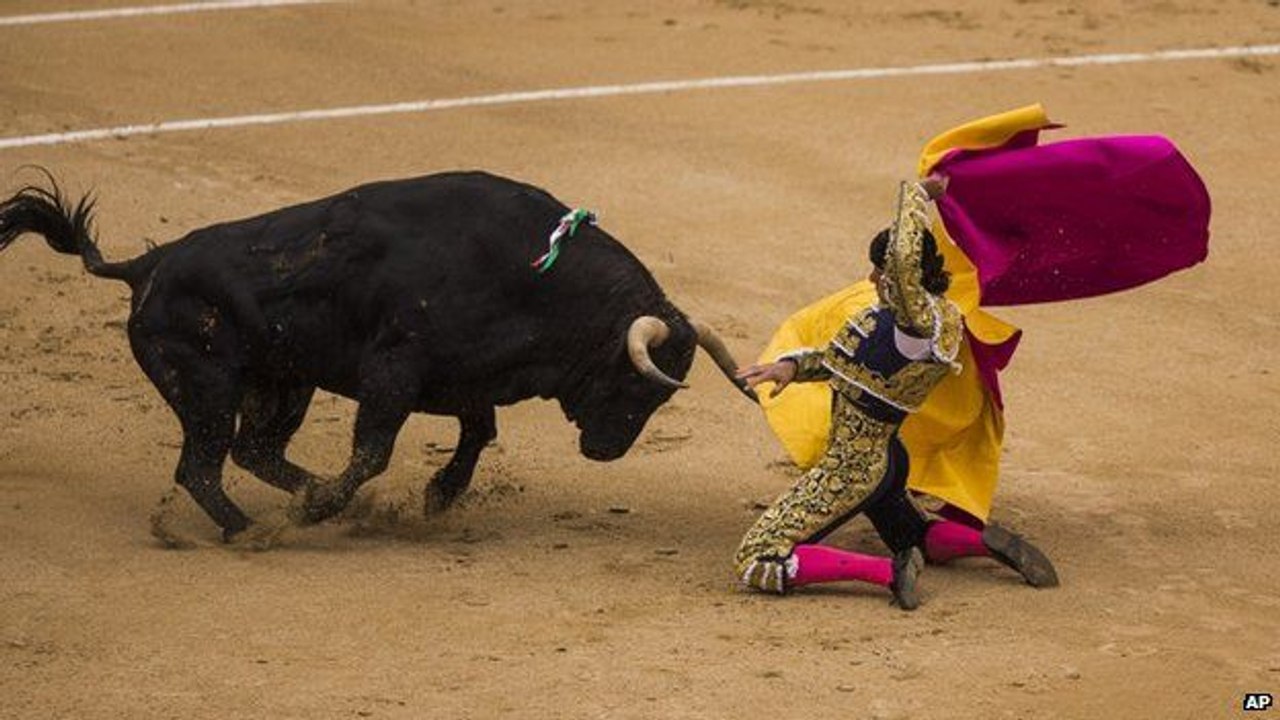 Wah g Kamal - As Admi ny Bull ko Ulta kar dia