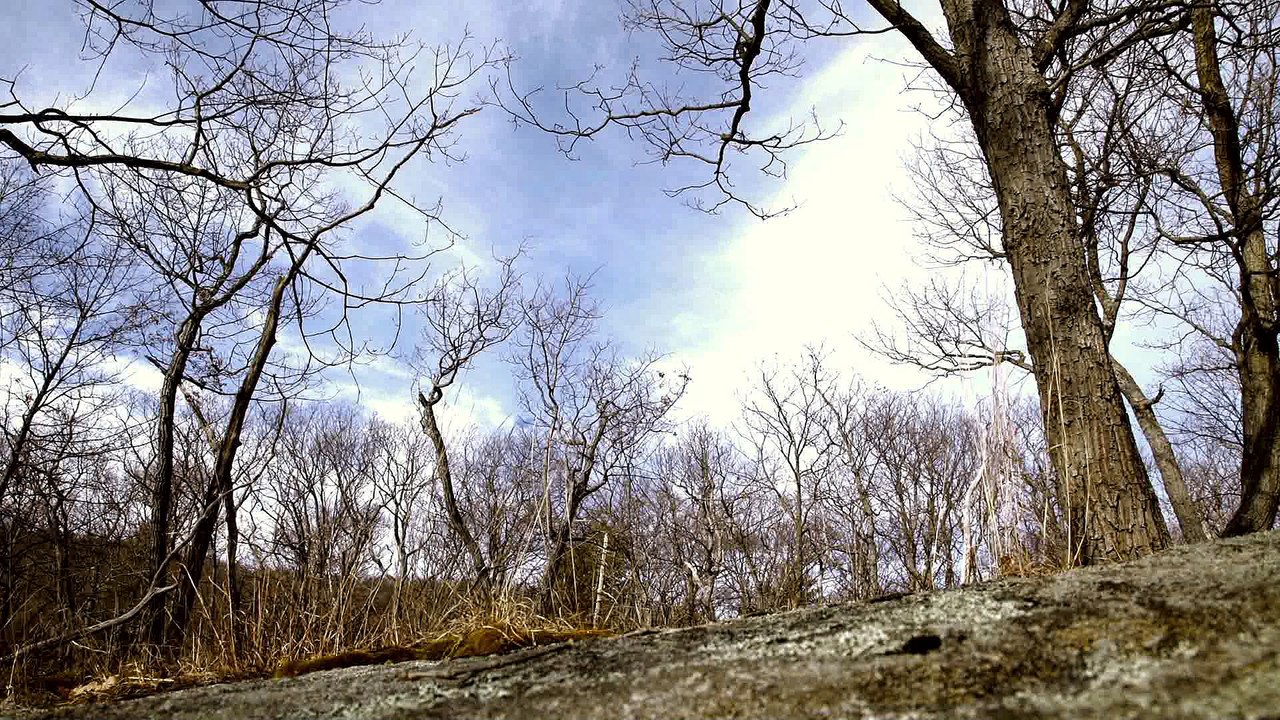 Alnilam - "A Song For The Wind"