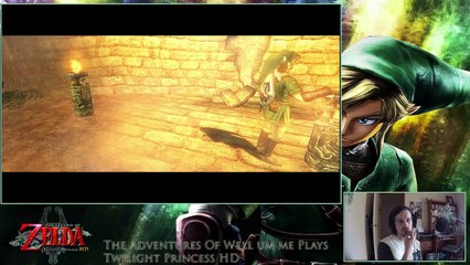 Let's Play Legend of Zelda Twilight Princess HD Part 9