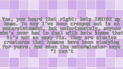 What I Learned About Digital Marketing From Having Bats In My Home