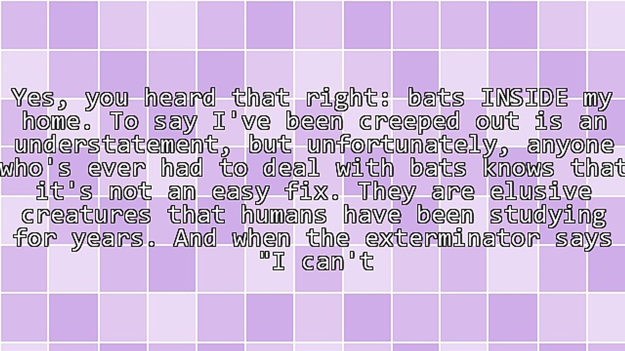 What I Learned About Digital Marketing From Having Bats In My Home