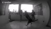Dog 'attacks' teenagers in funny dancing fail