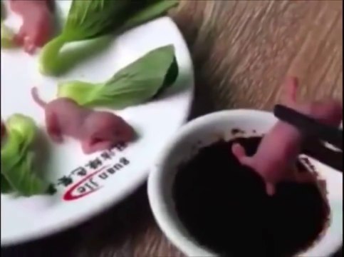 Des souriceaux vivants au menu d'un restaurant taïwanais