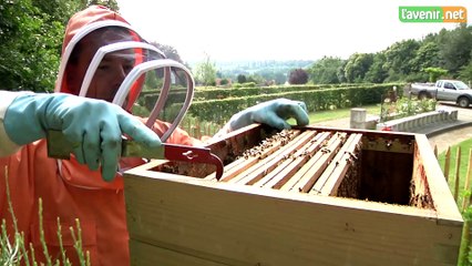 L'Avenir - Un financement participatif pour de nouvelles ruches