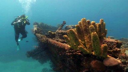 Un top model meurt en plein shooting