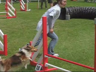 Agility demo