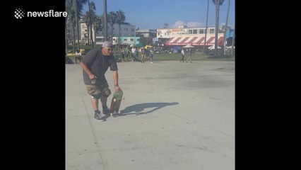 Dogs rides a skateboard at Venice Beach, California