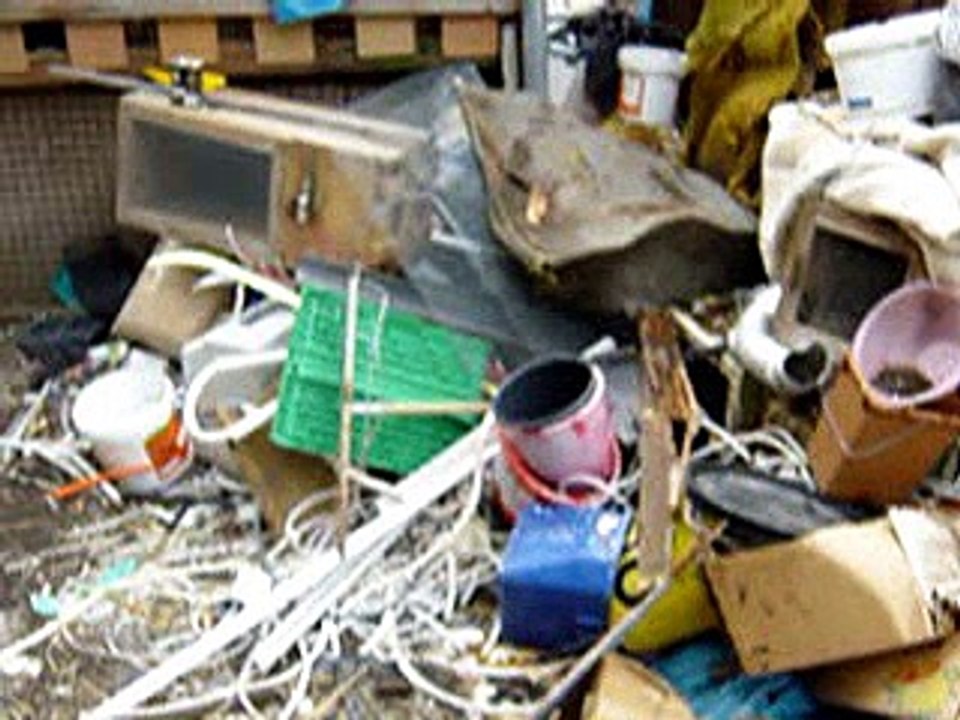 Tornado, Erdbeben. Nein, Peschls Garten